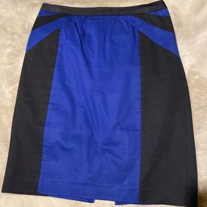 Express Pencil Skirt